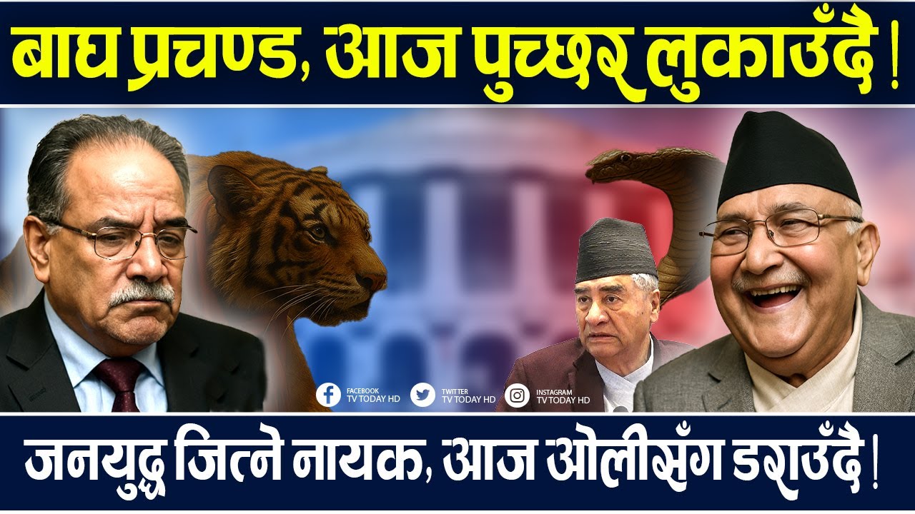 उ बेला गर्जिएका प्रचण्ड यो बेला गल्दै र ढल्दै । Prachanda || TV Today HD || Latest News || KP Oli |