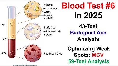 How To Track And Optimize Biomarkers: Blood Test #6 in 2025