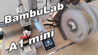 BambuLab A1 Mini, testing with PLA, PETG, TPU. When to use AMS?