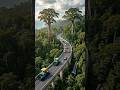 😱How they build Highway🛣️ in a rainforest🪴 #Engineering #Construction #SatisfyingVideo #Architecture