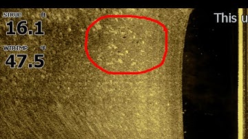 Understanding sonar/ side scan and down scan for fishing success