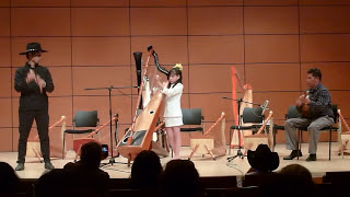 Niña tocando Arpa. Popurrí BALADA PARA ADELINA, PÁJARO AMARILLO y otros. SOFÍA GONZÁLEZ.