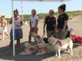 Dog lifeguards on the lookout on Italy's beaches Dog lifeguards on the lookout on Italy's beaches