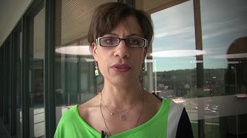 YSU Safe Zone Training