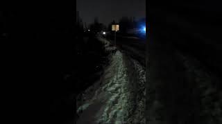 Бездомные собаки Некрасовка Бездомные собаки Некрасовка
