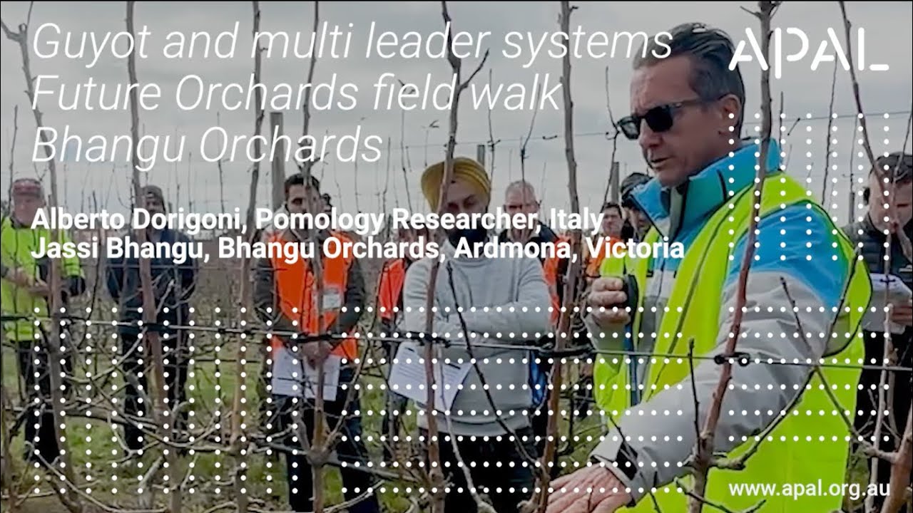 Train your way to a more productive, efficient and easier to manage orchard