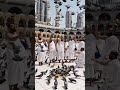 #shortvideo #اكسبلور #duet #mountarafat اكسبلور #makkah