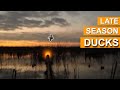 Duck Hunting Texas Late Season | PUBLIC LAND