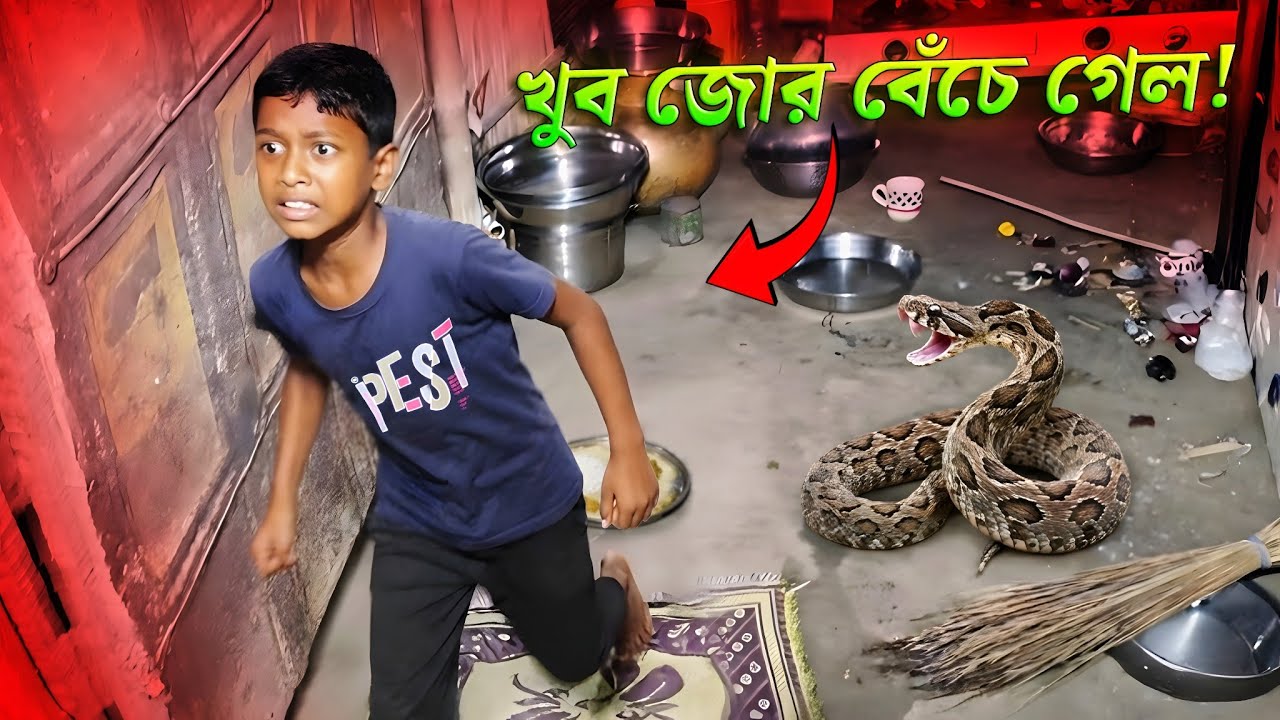 একটুর জন্য বেঁচে গেলো ছেলেটা! ভাত খেতে বসে দেখে পাশেই ভয়ংকর চন্দ্রবোড়া সাপ! Close Call 