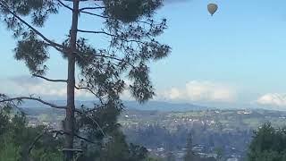 IMG 3136 IMG 3136