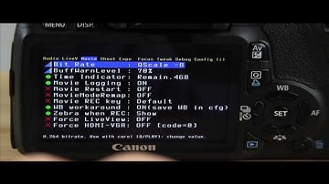 Magic Lantern Review On July 07 11 Build