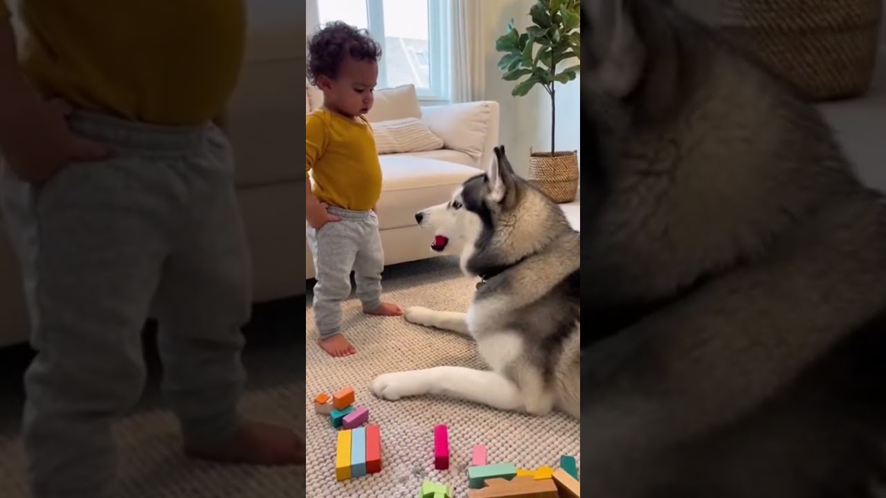 Cute Kids & Pets Moments That Melt Your Heart ❤️