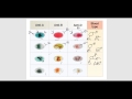 The Blood Part 3: Blood Typing and Transfusions