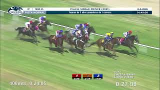 Vidéo de la course PMU PREMIO SINGLE PRINCE 2021