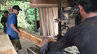 Penggergajian Kayu Akasia