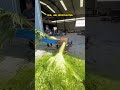 hay pulping machine, fresh hay silage pulping equipment, actual test results of sugarcane pulping