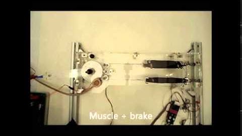A New Hybrid Actuation Scheme with Artificial Pneumatic Muscles and a Magnetic Particle Brake...