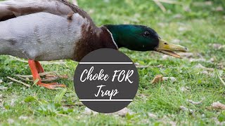 Choke fore Trap, 12 Best Choke for Trap 2021 for the Money – Complete Buyer’s Guide