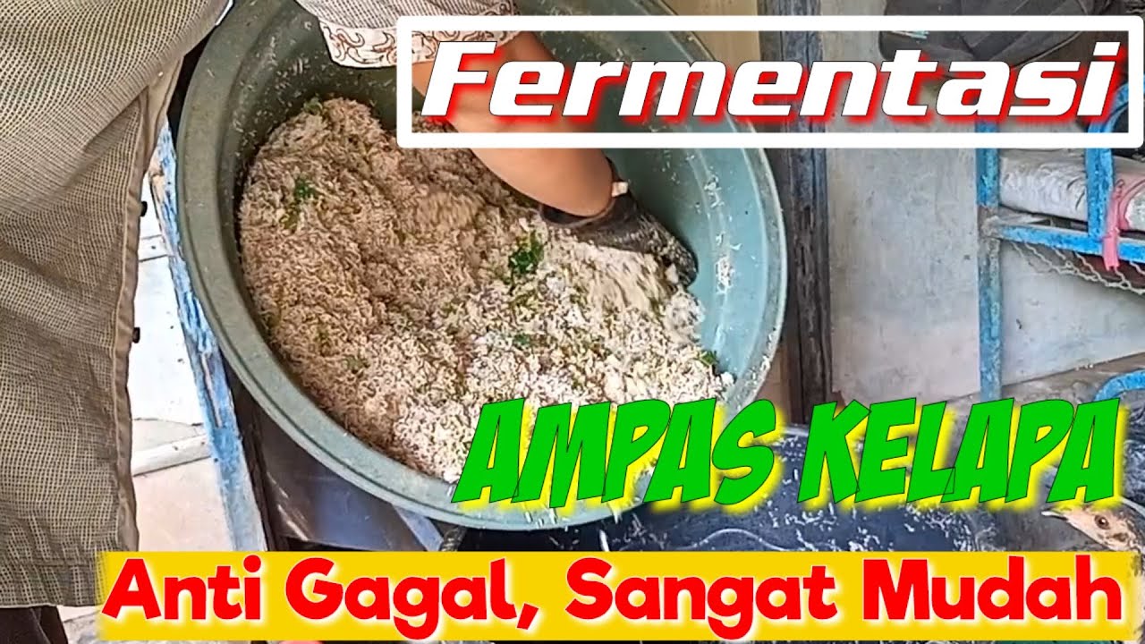 FERMENTASI, Ampas Kelapa Pakan Alternatif Anti Gagal,,
