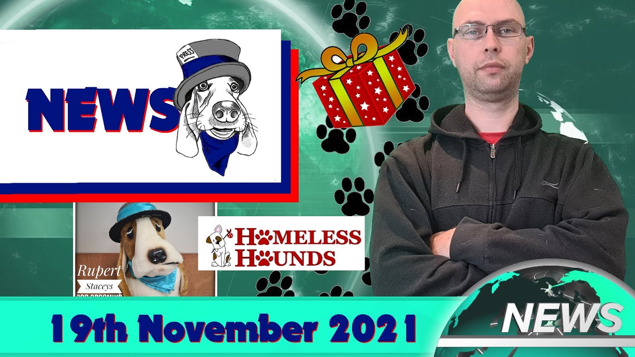 Getting closer, to xmas and repairs - Staceys Dog Grooming News 19/11/21
