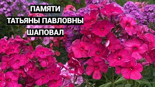 :    