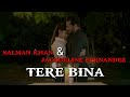 Tere bina  salman khan  jacqueline fernandez