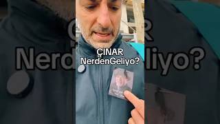 İlber Hoca Anısına Çinar Nerdengeliyo?