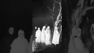 In The Woods #horrorroom #samhain #pagan #ritual #creepyphotos #vintagehalloween #masks