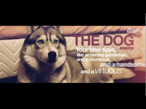 Phil Jay — PHIL JAY - I Love U [version 2] [OFFICIAL VIDEO]