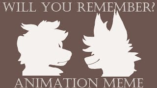 Will You Remember ? Animation MEME