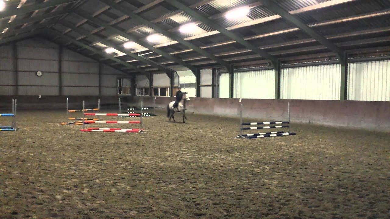 Springles Condition Co springles 20/02/15 - YouTube