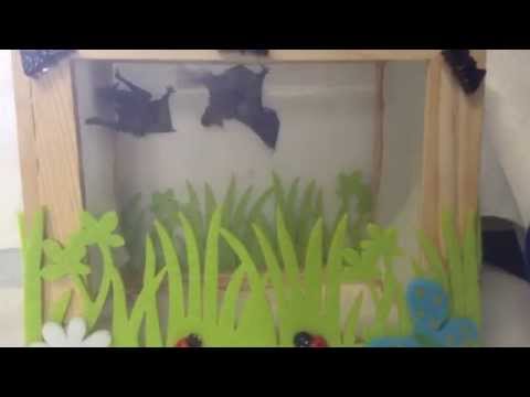 #Samson and Delilah are starting to do wing stretches #bats
