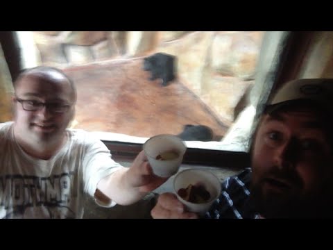 TheDailyWoo - 768 (8/8/14) Feeding Live Bears !