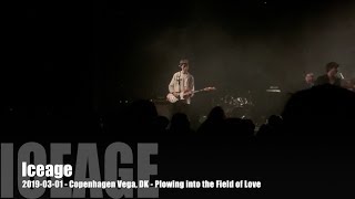 Iceage - Plowing through the Field of Love - 2019-03-01 - Copenhagen Vega, DK