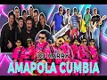 Cumbia mix  amapola  amar azul la vagancia y ms