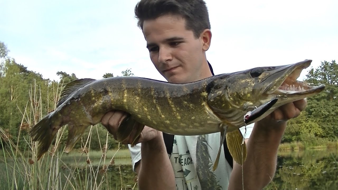 Dier Met Ploppers Aan De Armen