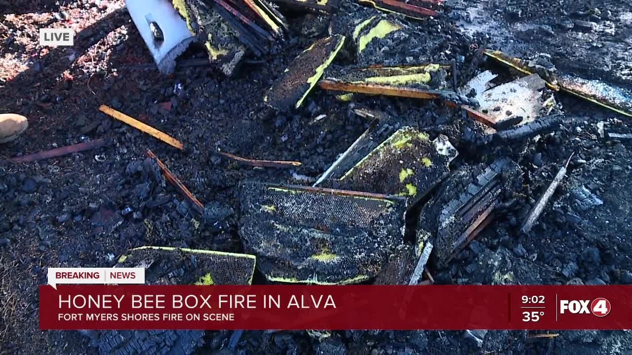 Honey bee boxes and combs charred in Thursday morning Alva fire - YouTube