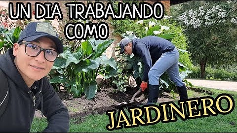 Así es un dia de trabajo como JARDINERO... ¡ Un dia en esta difícil profesión!