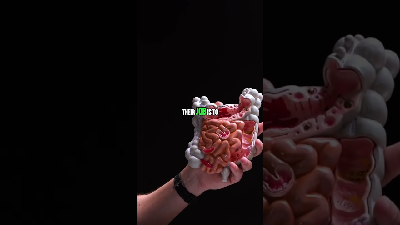 Heal Your Gut! The Microbiome Secret to a Strong Immune System 