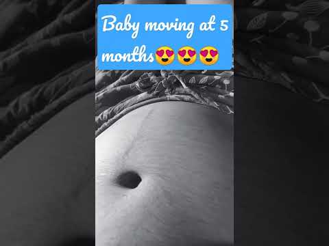 5 months pregnant belly