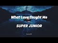 SUPER JUNIOR - What Love Taught Me (Aiga Oshiete Kureta Koto) | LIRIK SUB INDO