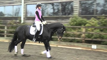 Daniel Timson | Changing your diagonal in the trot | PONY Magazine