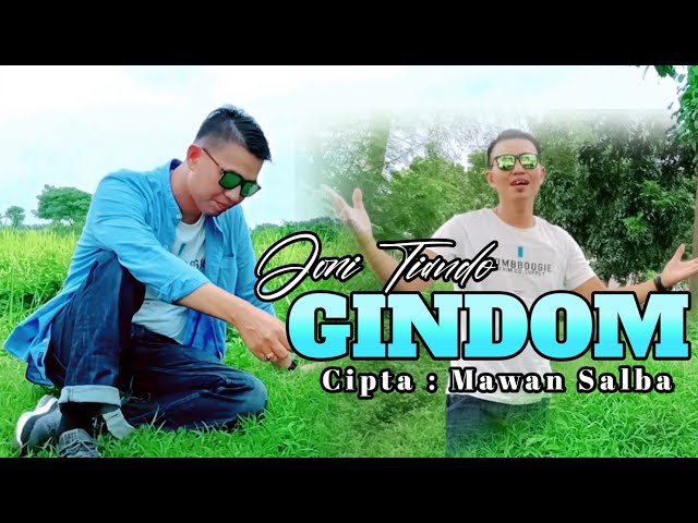 Gindom - Joni Tiando ( Cover Edition ) Lagu Lampung Viral class=