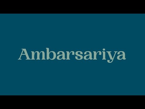 Sona Mohapatra - Ambarsariya (Lyrics)