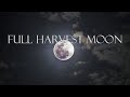 Capturing the Full Harvest Moon through my telescope!