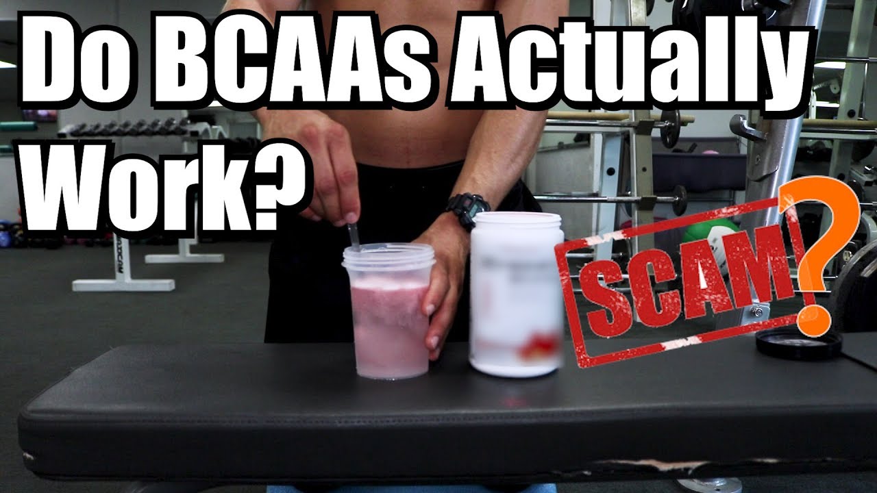 Are BCAAs the Biggest Scam Ever? (Scientific Breakdown) - YouTube