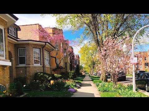 Video: Perkara Terbaik Untuk Dilakukan Pada Musim Bunga Di Chicago