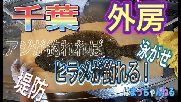 千葉外房でアジとヒラメ釣り Youtube 千葉外房でアジとヒラメ釣り Youtube