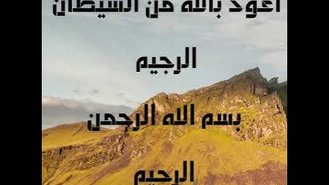 قرآن كريم صفحة 241