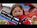 Мертвое и Красное море, путешествие по Израилю